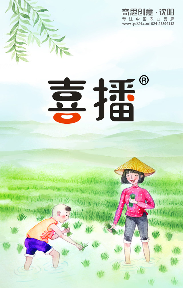 專業(yè)大米包裝品牌策劃設(shè)計(jì)，專業(yè)大米標(biāo)識(shí)設(shè)計(jì)，沈陽(yáng)奇思創(chuàng)意