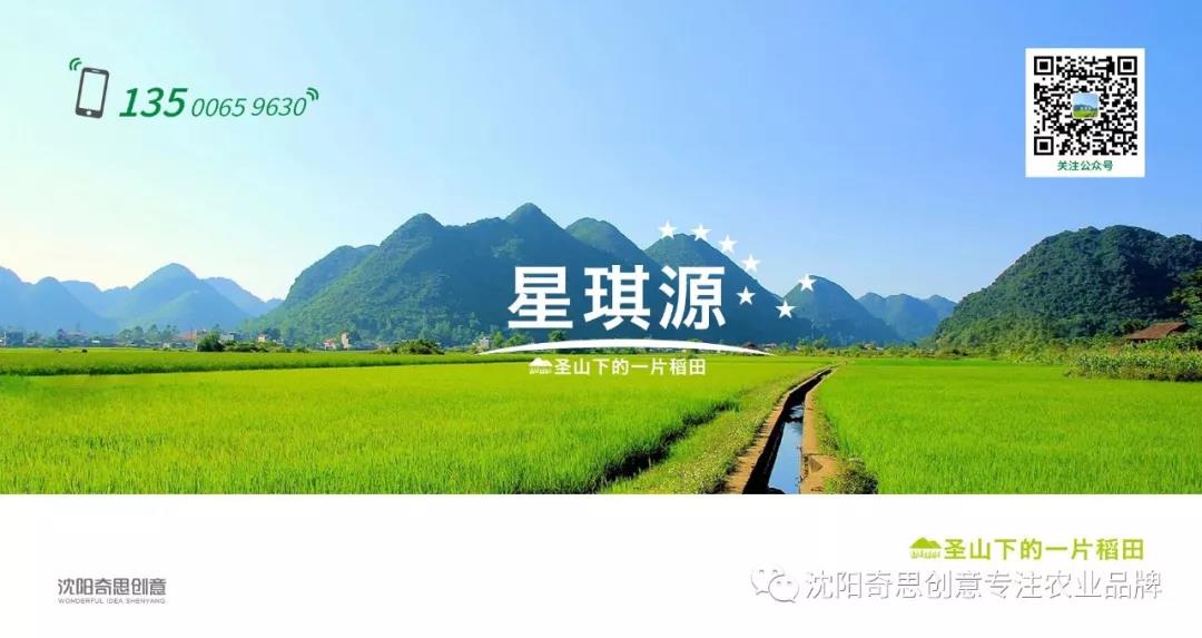 星琪源有限公司 沈陽(yáng)奇思創(chuàng)意 七星米哥