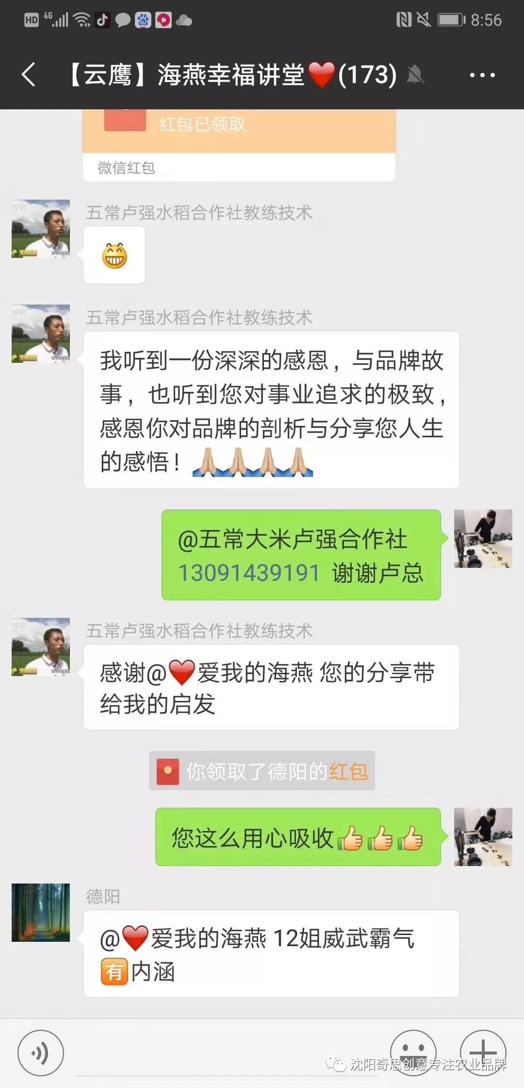 沈陽(yáng)奇思創(chuàng)意 云鷹 品牌策劃