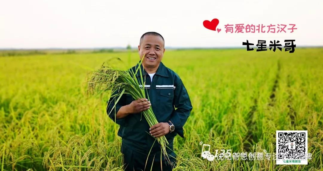 沈陽(yáng)奇思創(chuàng)意 七星米哥 星琪源有限公司