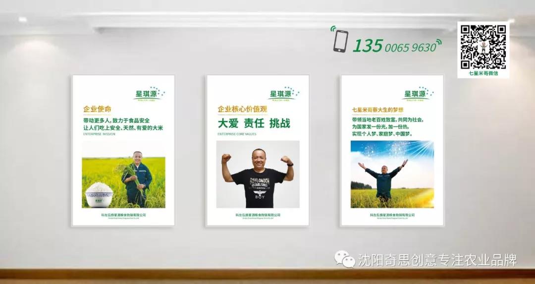 七星米哥 沈陽(yáng)奇思創(chuàng)意 星琪源有限公司