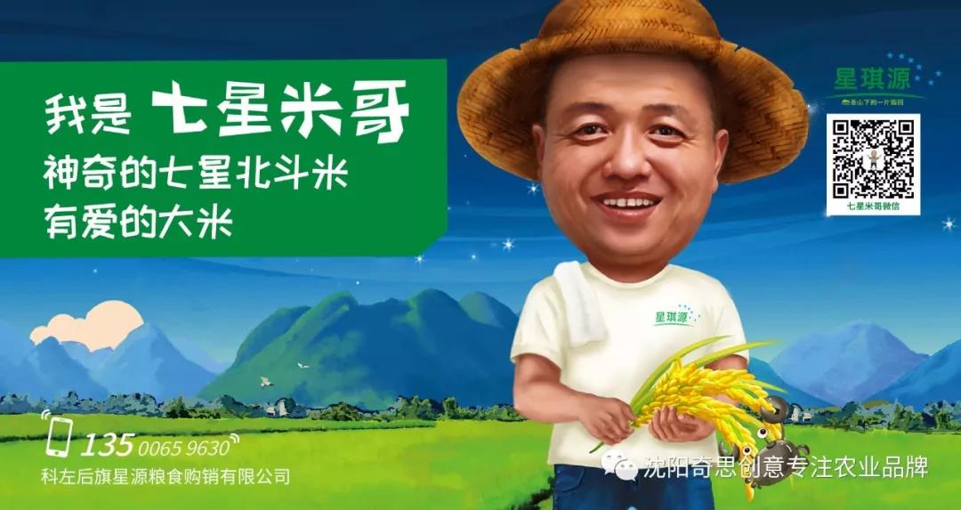 星琪源有限公司 沈陽(yáng)奇思創(chuàng)意 七星米哥