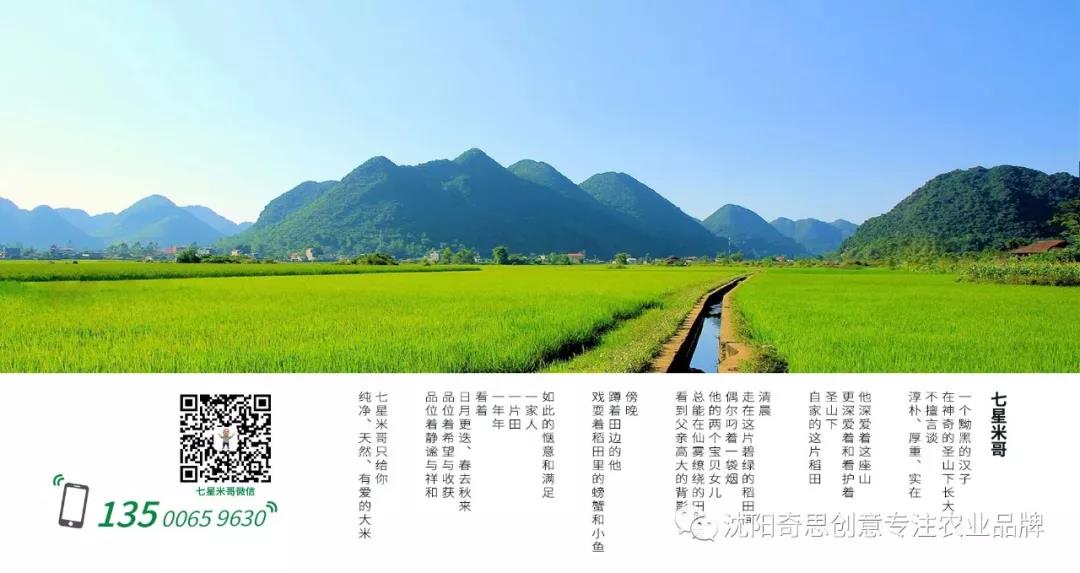 沈陽(yáng)奇思創(chuàng)意 星琪源有限公司 有愛(ài)的大米